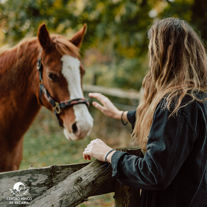 Stay plus horse riding